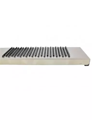 Râpe Ail Gingembre Shred Line Inox